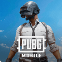 PUBG官方正版安装