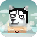 二哈下楼记手机版