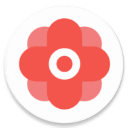 华为谷歌安装器2025