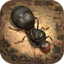 小小蚁国破解版无限资源